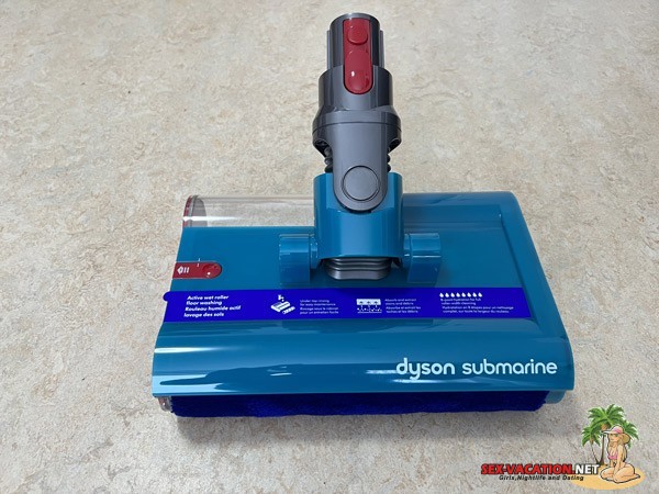 Dyson Mop Cleaner